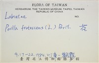 荏藏品圖，第3張
